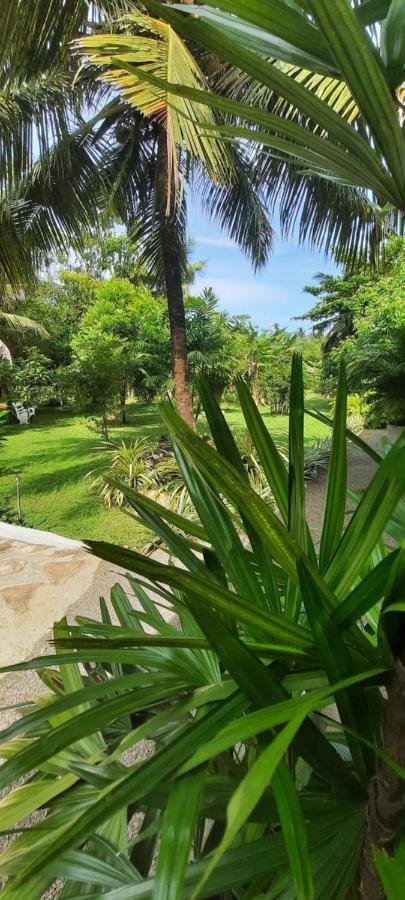 New Holiday Reach Unawatuna Ngoại thất bức ảnh