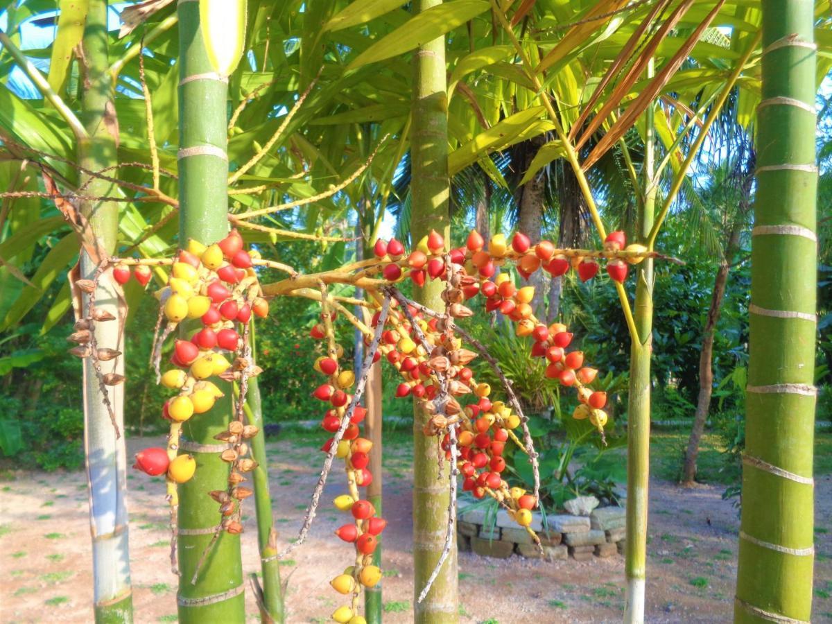 New Holiday Reach Unawatuna Ngoại thất bức ảnh